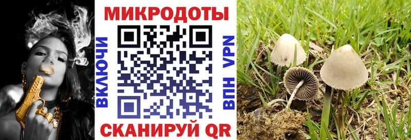 Псилоцибиновые грибы прущие грибы Перевоз